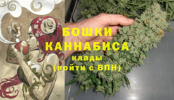 дурь Алексеевка
